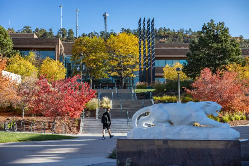 student walking near engineer building